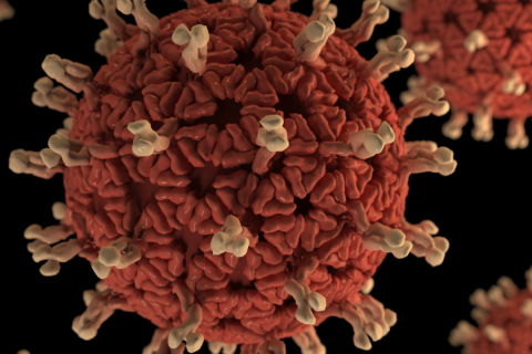 Rotavirüs Enfeksiyonu ve Korunma